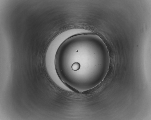 X0000112750708200908271542