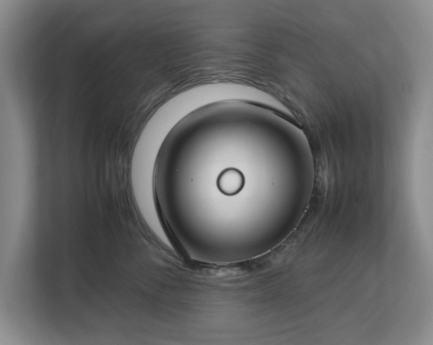 X0000112750716200908271542