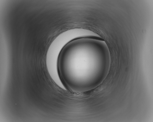 X0000112750720200908271542