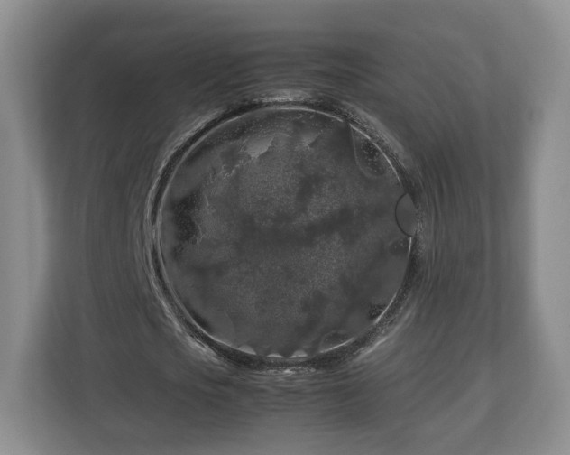 X0000112750721200908271541