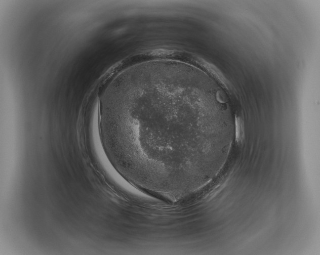 X0000112750723200908271541