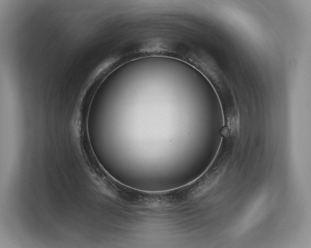 X0000112750724200908271541