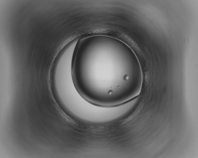 X0000112750725200908271541