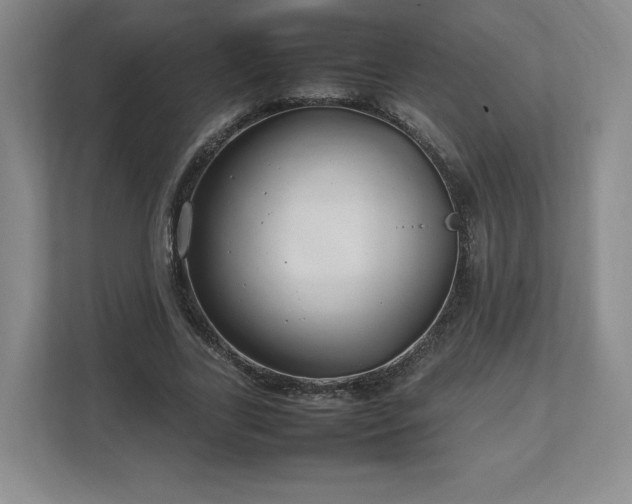 X0000112750731200908271541