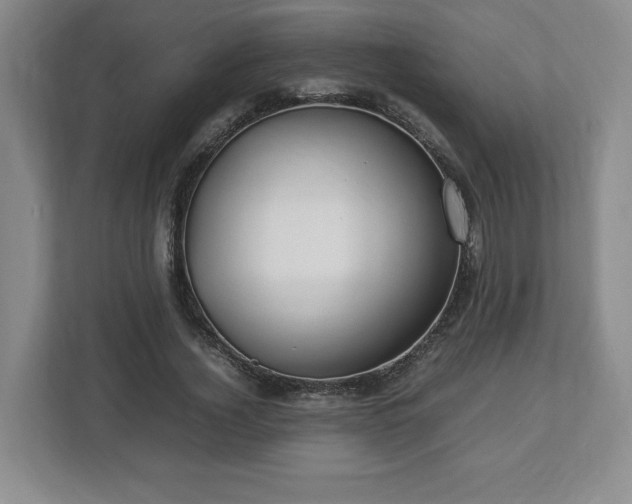 X0000112750732200908271541