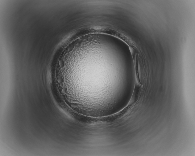 X0000112750734200908271541