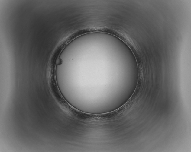 X0000112750736200908271541