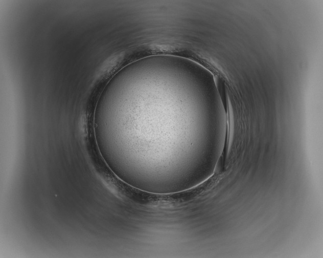 X0000112750738200908271541