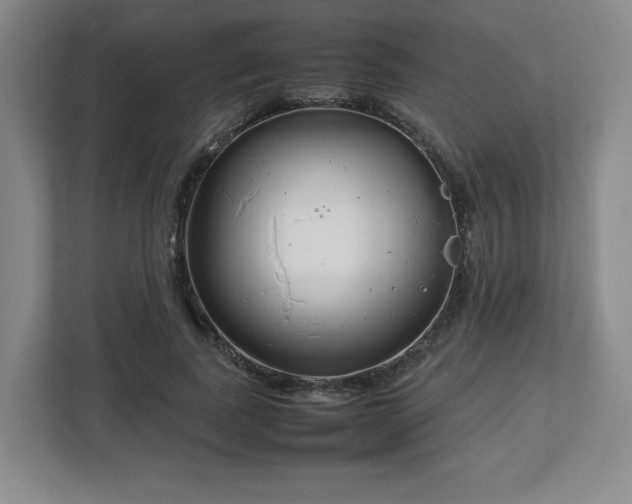 X0000112750739200908271541