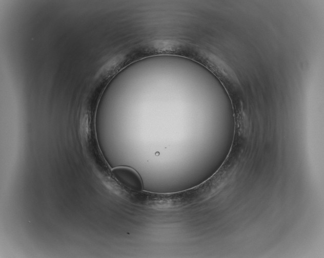 X0000112750740200908271541