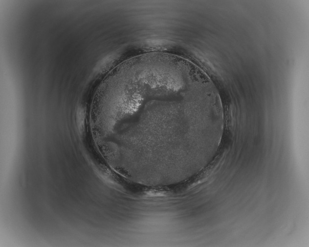 X0000112750742200908271541