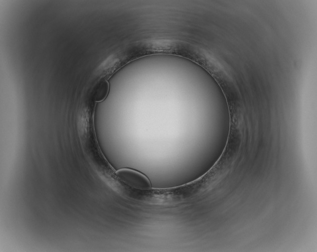 X0000112750744200908271541