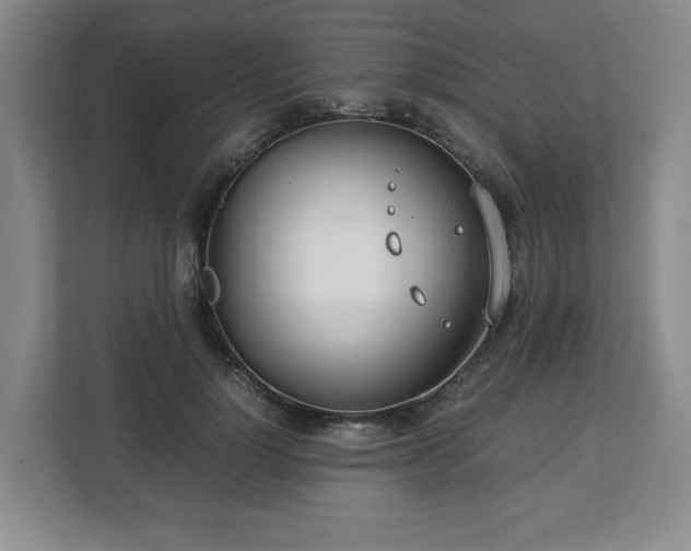 X0000112750748200908271541