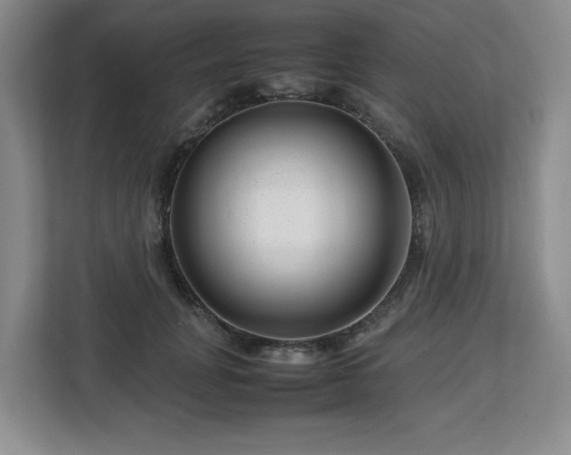 X0000112750751200908271541