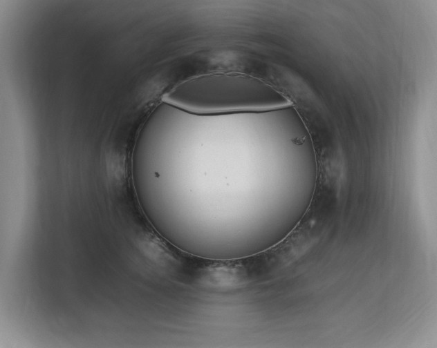 X0000112750756200908271542