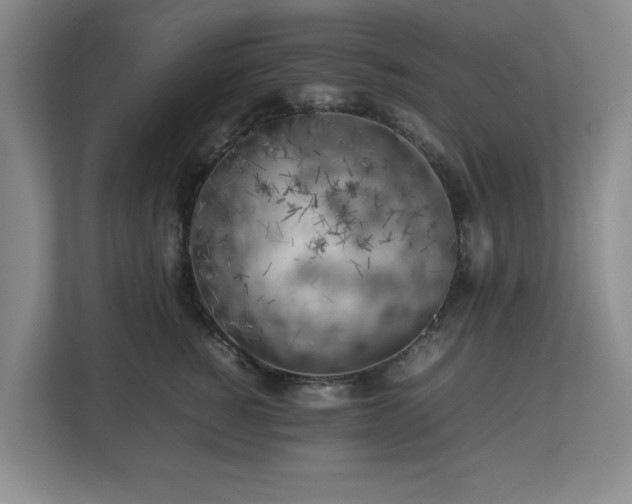 X0000112750760200908271542