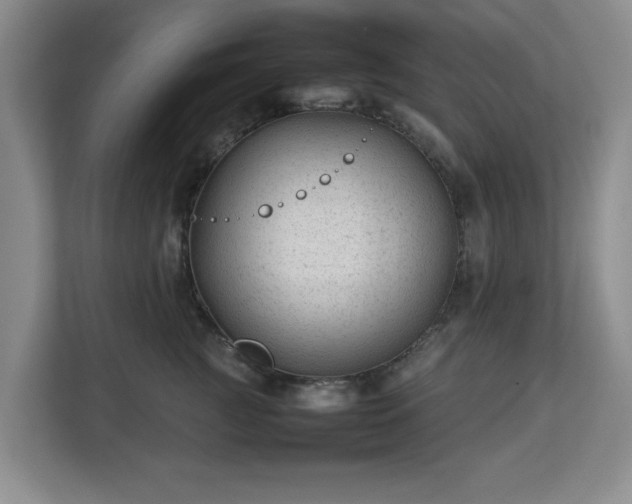 X0000112750761200908271542