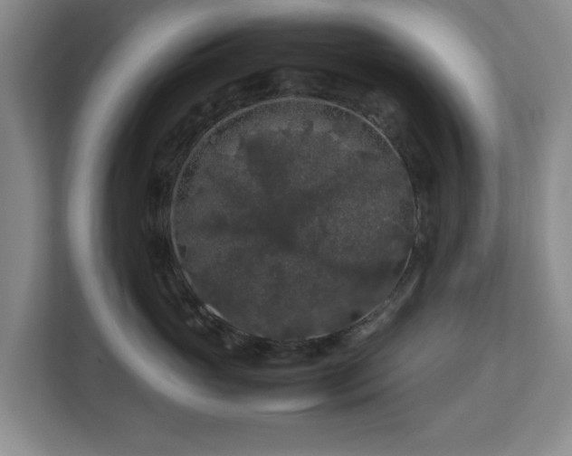 X0000112750765200908271542