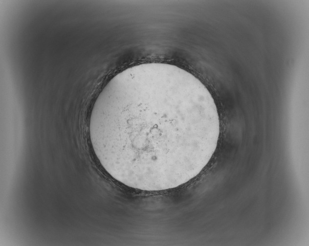 X0000112750769200908271541