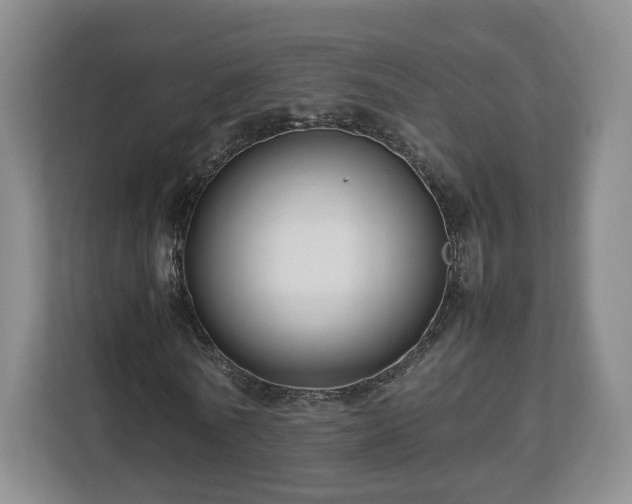 X0000112750770200908271541