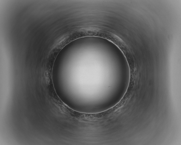 X0000112750774200908271541