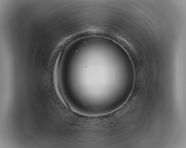 X0000112750776200908271541