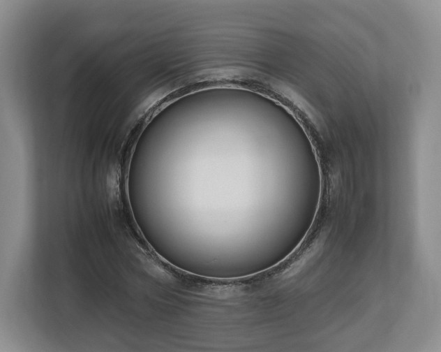 X0000112750778200908271541