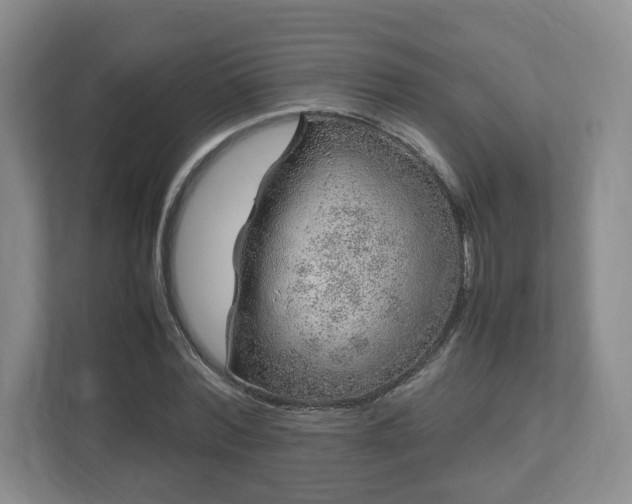 X0000112750780200908271541