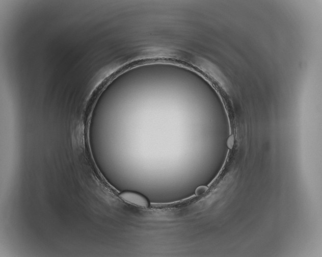 X0000112750781200908271541