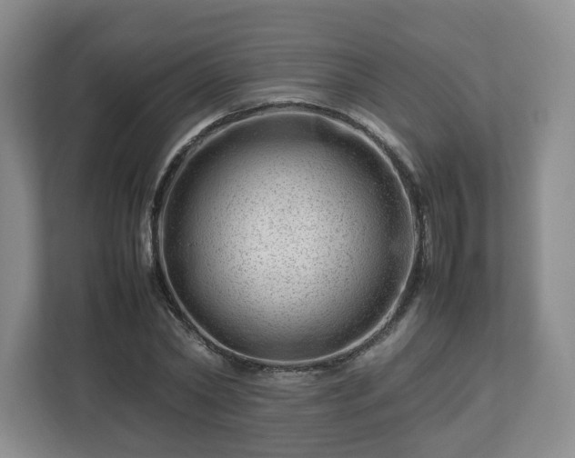 X0000112750782200908271541