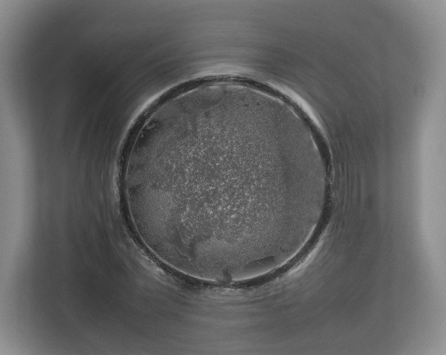 X0000112750783200908271541