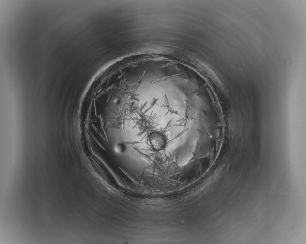 X0000112750784200908271541