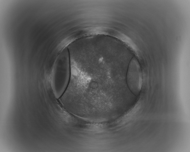 X0000112750785200908271541