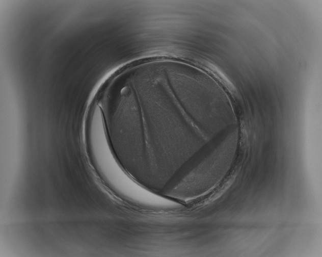 X0000112750788200908271541