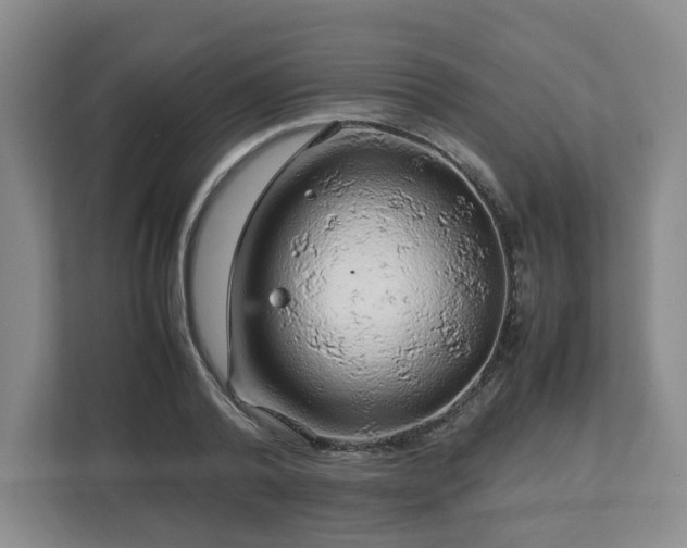 X0000112750792200908271541