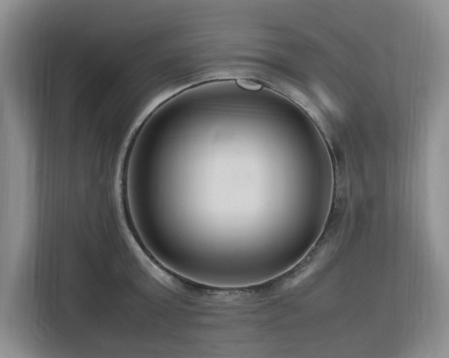 X0000112750803200908271541