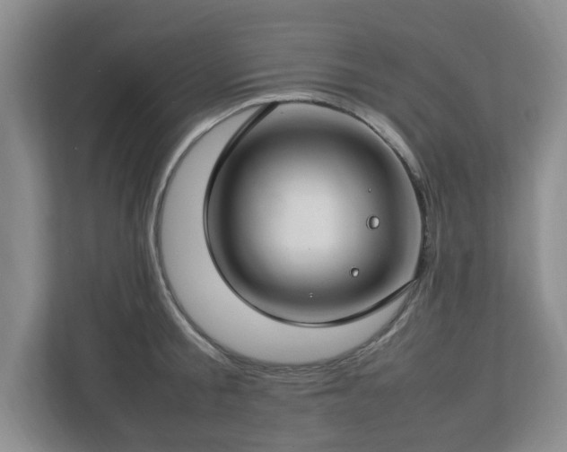 X0000112750805200908271541