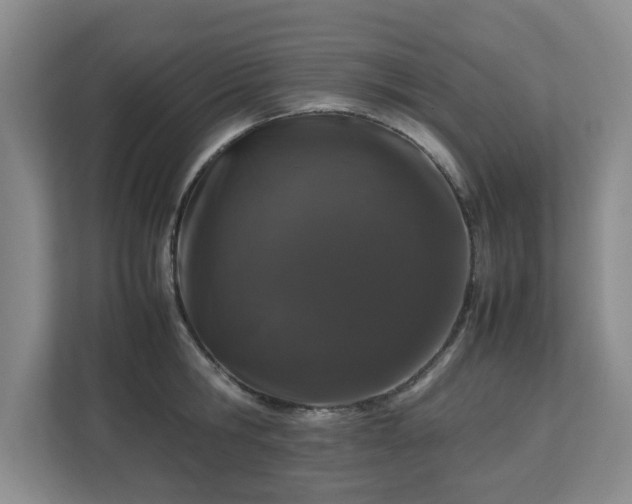 X0000112750806200908271541