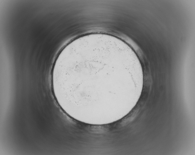 X0000112750807200908271541