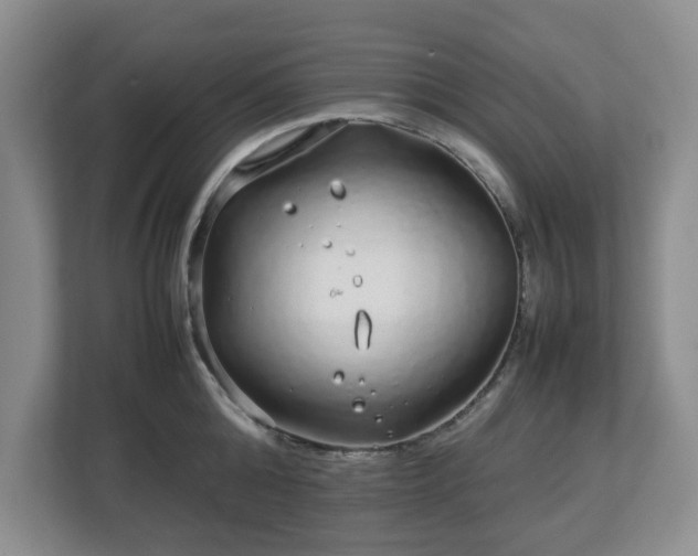 X0000112750808200908271541