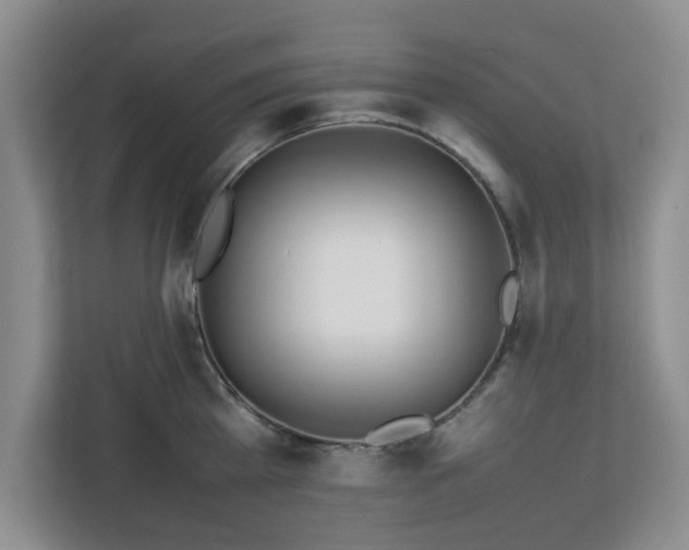 X0000112750809200908271541