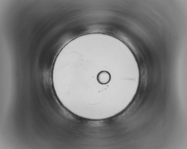 X0000112750810200908271541