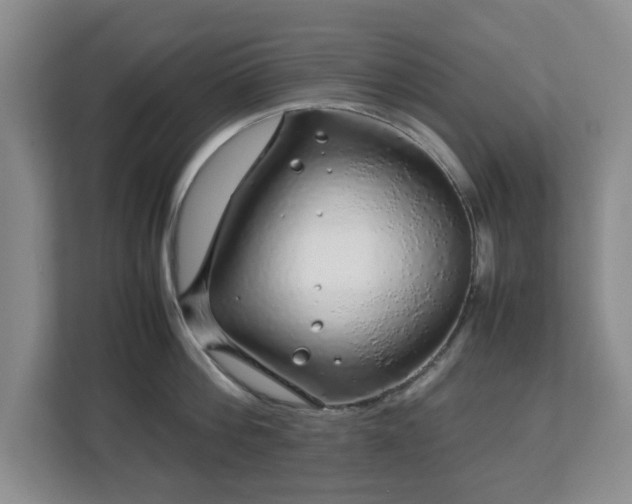 X0000112750812200908271540