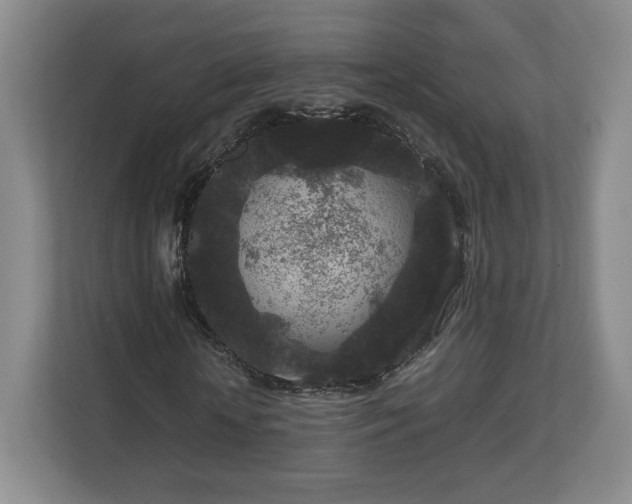 X0000112750818200908271540