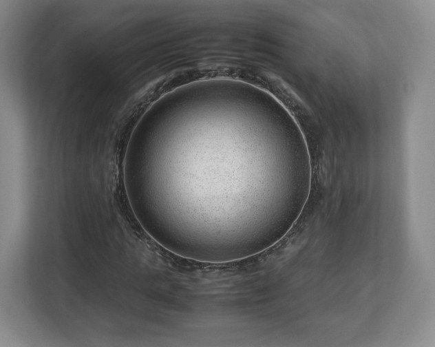 X0000112750821200908271540