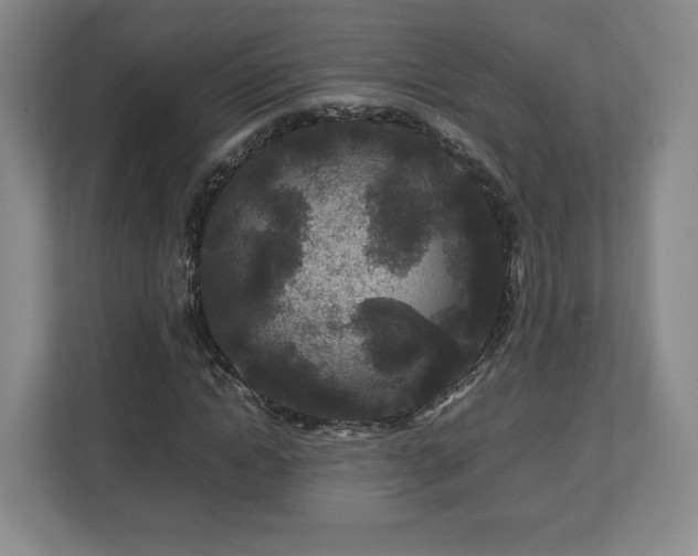 X0000112750822200908271540