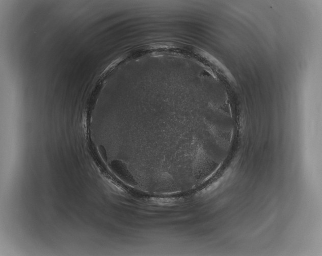 X0000112750825200908271540