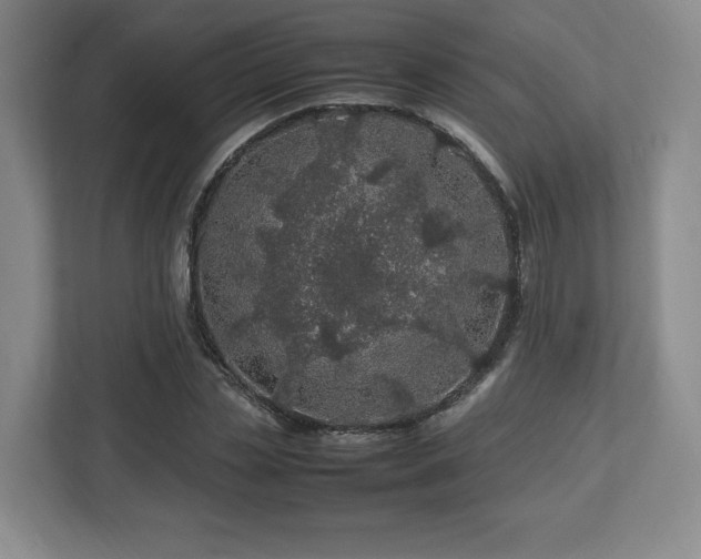 X0000112750829200908271540