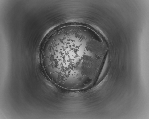 X0000112750830200908271540