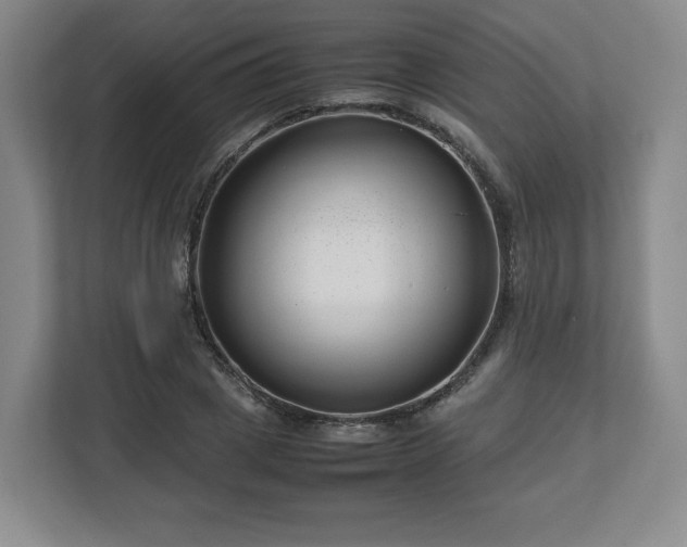 X0000112750833200908271540